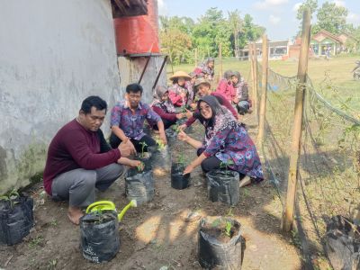Gerakan Tanam Cabai Dan Sayur Desa Roworejo